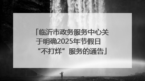 临沂市政务服务中心关于明确2025年节假日“不打烊”服务的通告
